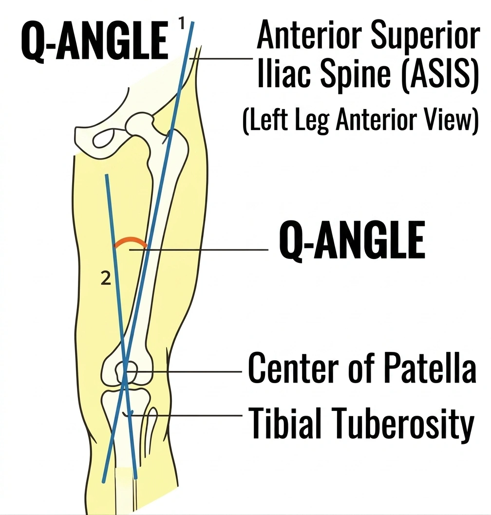 Q-ANGLE (1) Q-ANGLE (1)