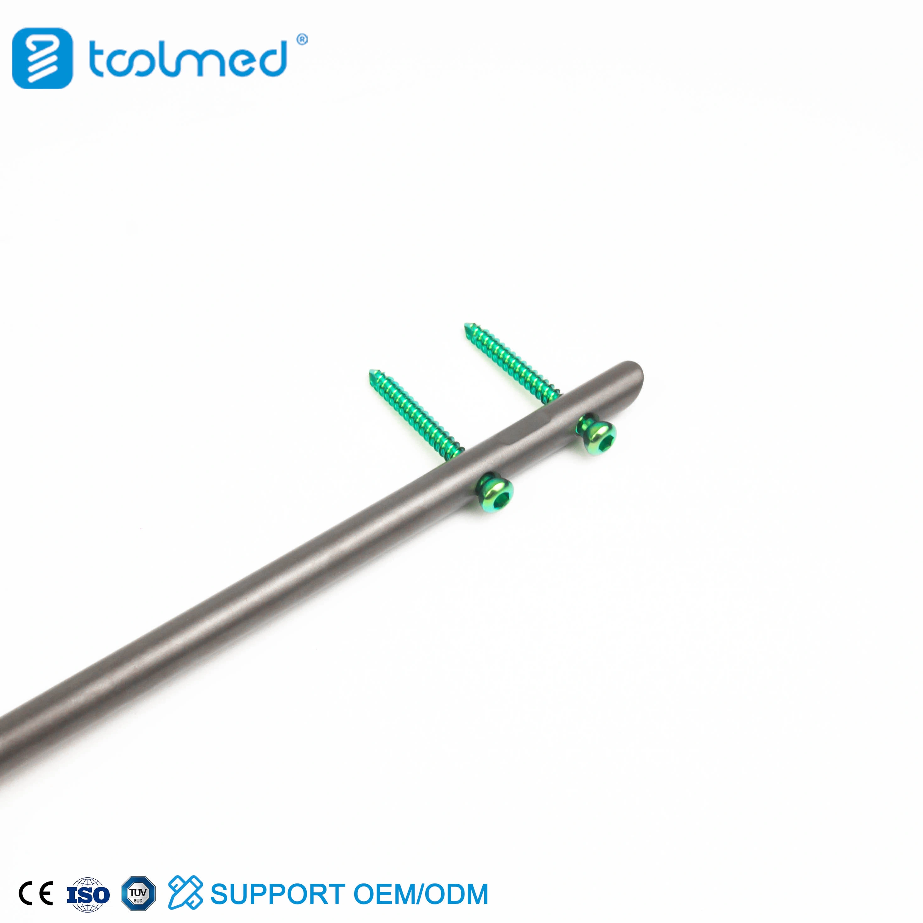 Tibia Nail 3 Tibia Nail 3
