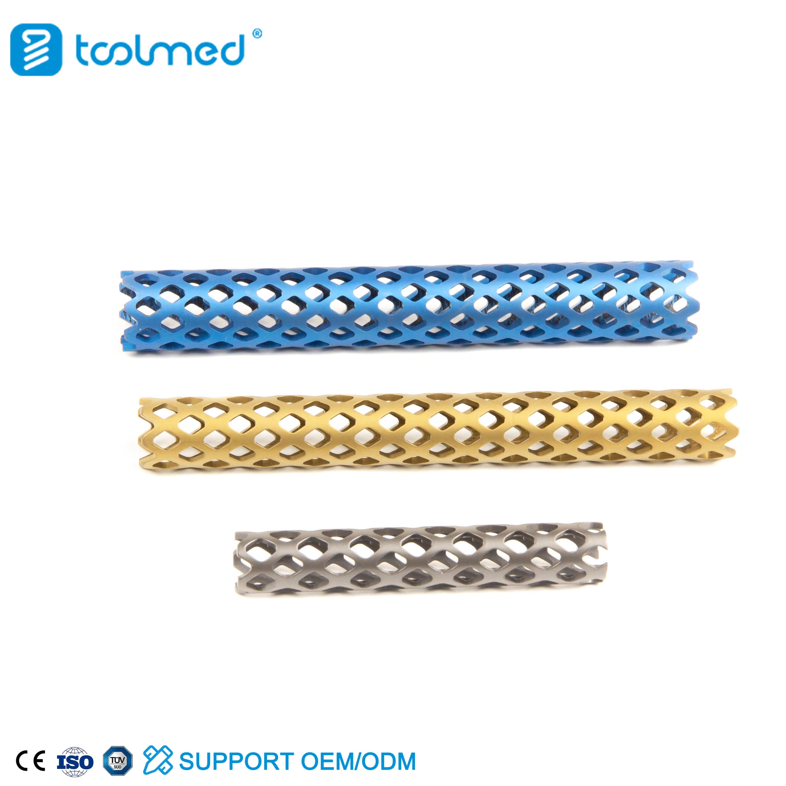 Titanium Mesh Cage 19 Titanium Mesh Cage 19