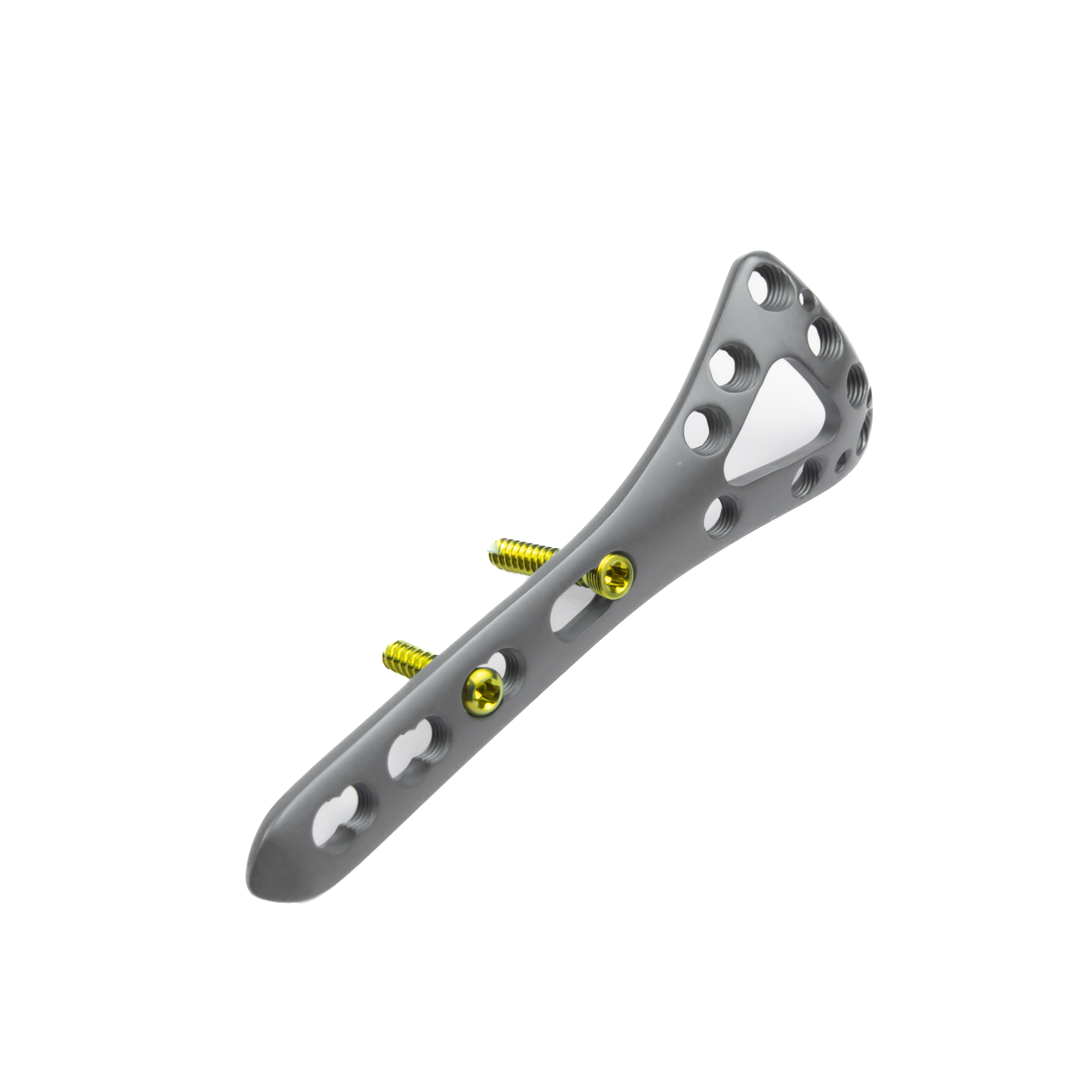 Distal Dorsal Radial Delta Locking Plate
