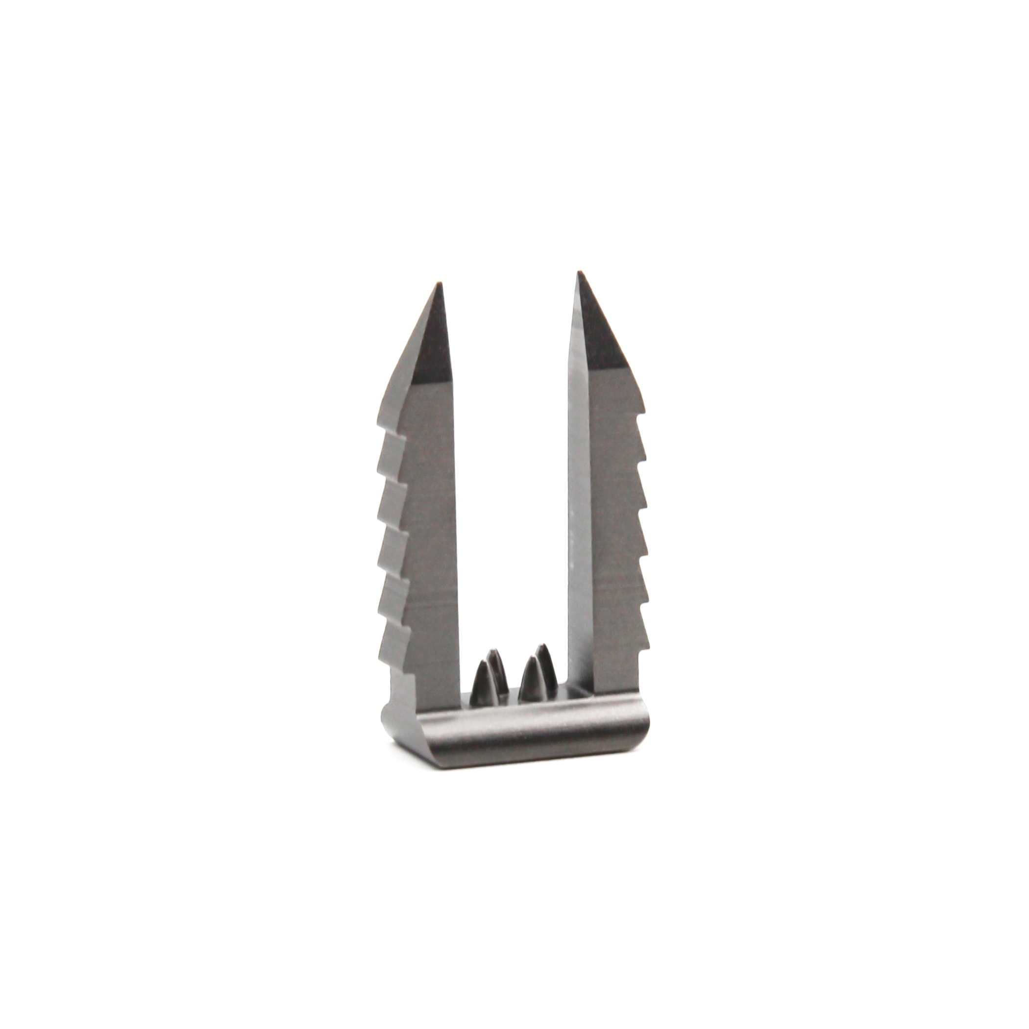 Spiked Ligament Staple