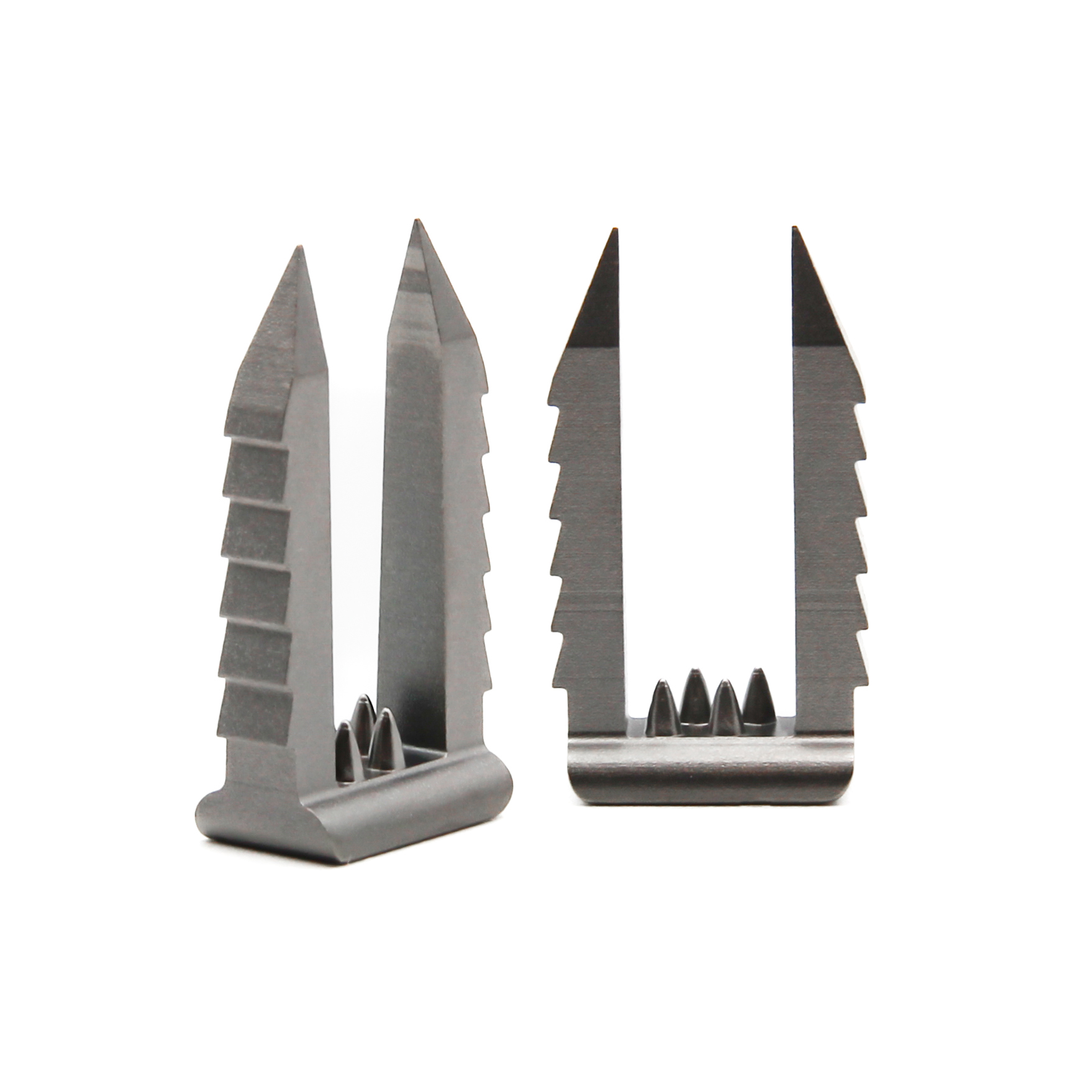 Spiked Ligament Staple