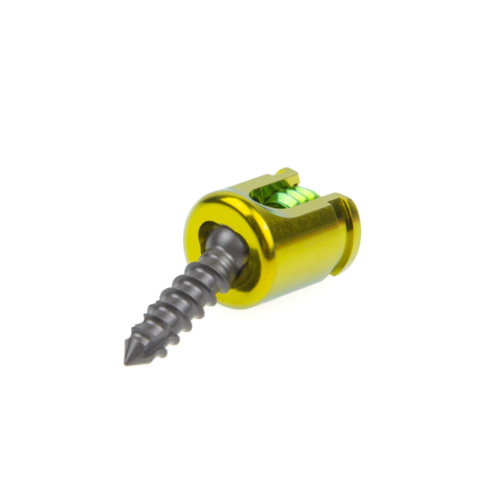 Polyaxial Pedicle Screw