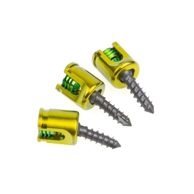 Polyaxial Pedicle Screw