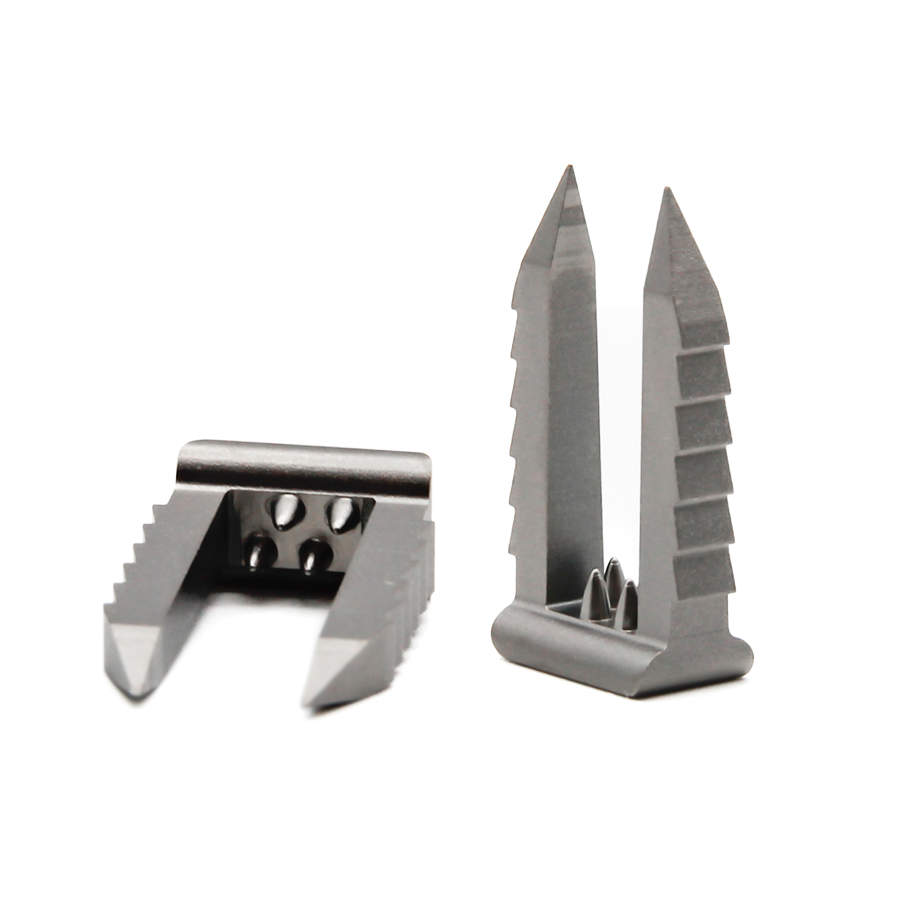 Spiked Ligament Staple