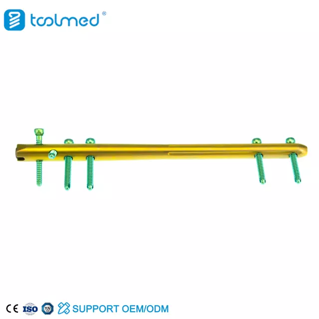 Expert Reversed Femoral Intramedullary Nail-I