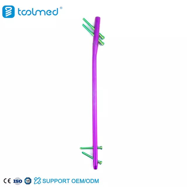 Expert Femoral Nail-Purple