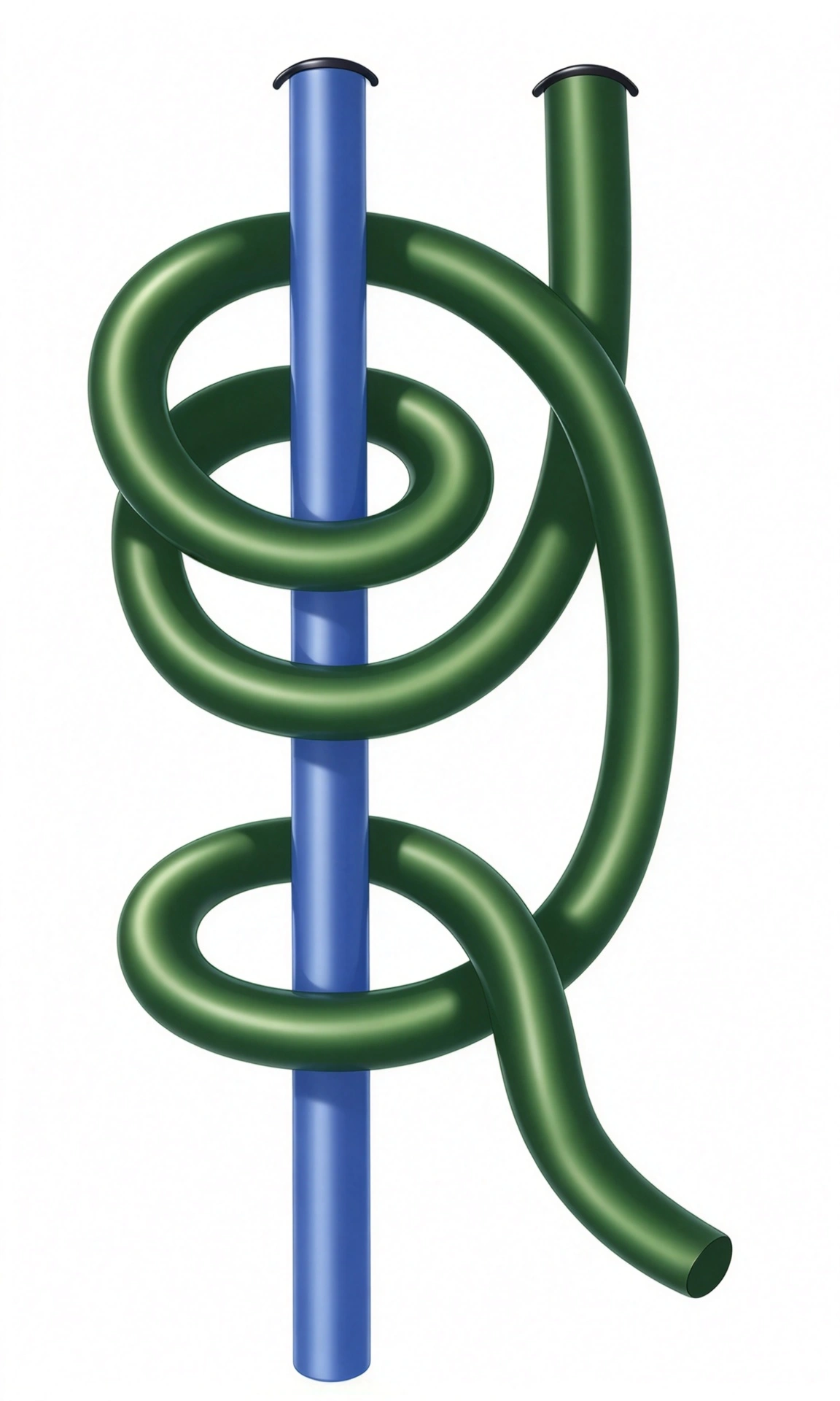 Tautline Hitch