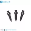 IMF Screw System