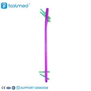 Expert Femoral Nail-Purple