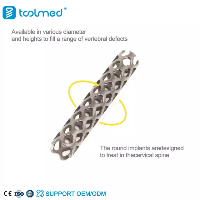 Titanium Mesh Cage