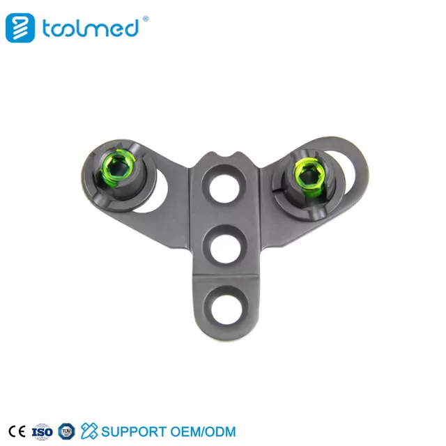 Occipital Plate-I