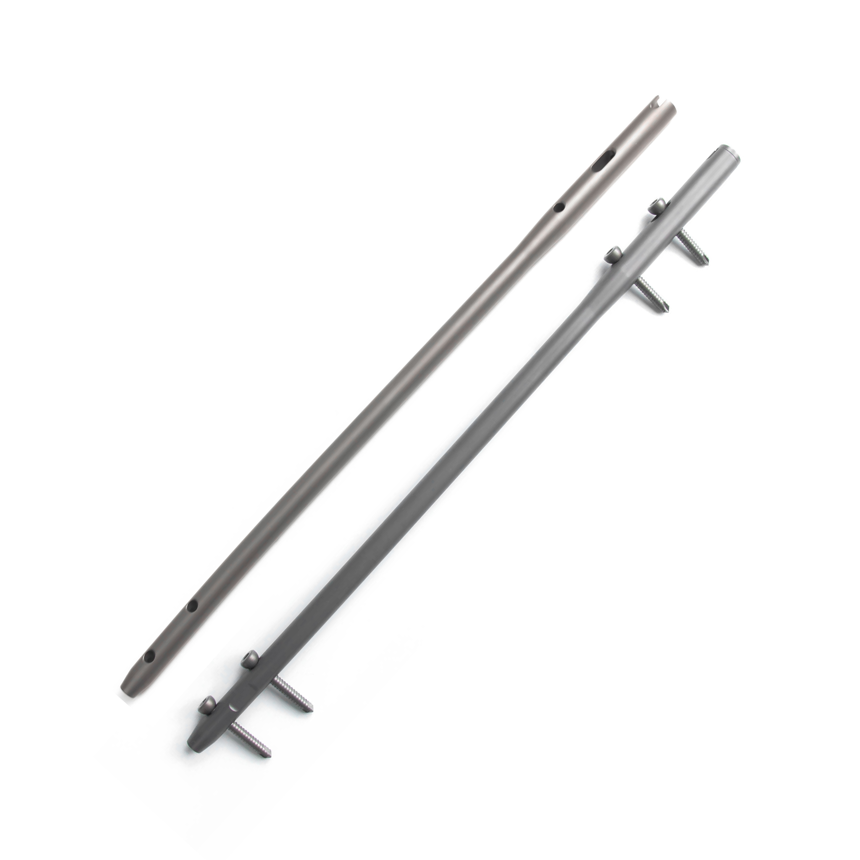 Femoral Intramedullary Nail