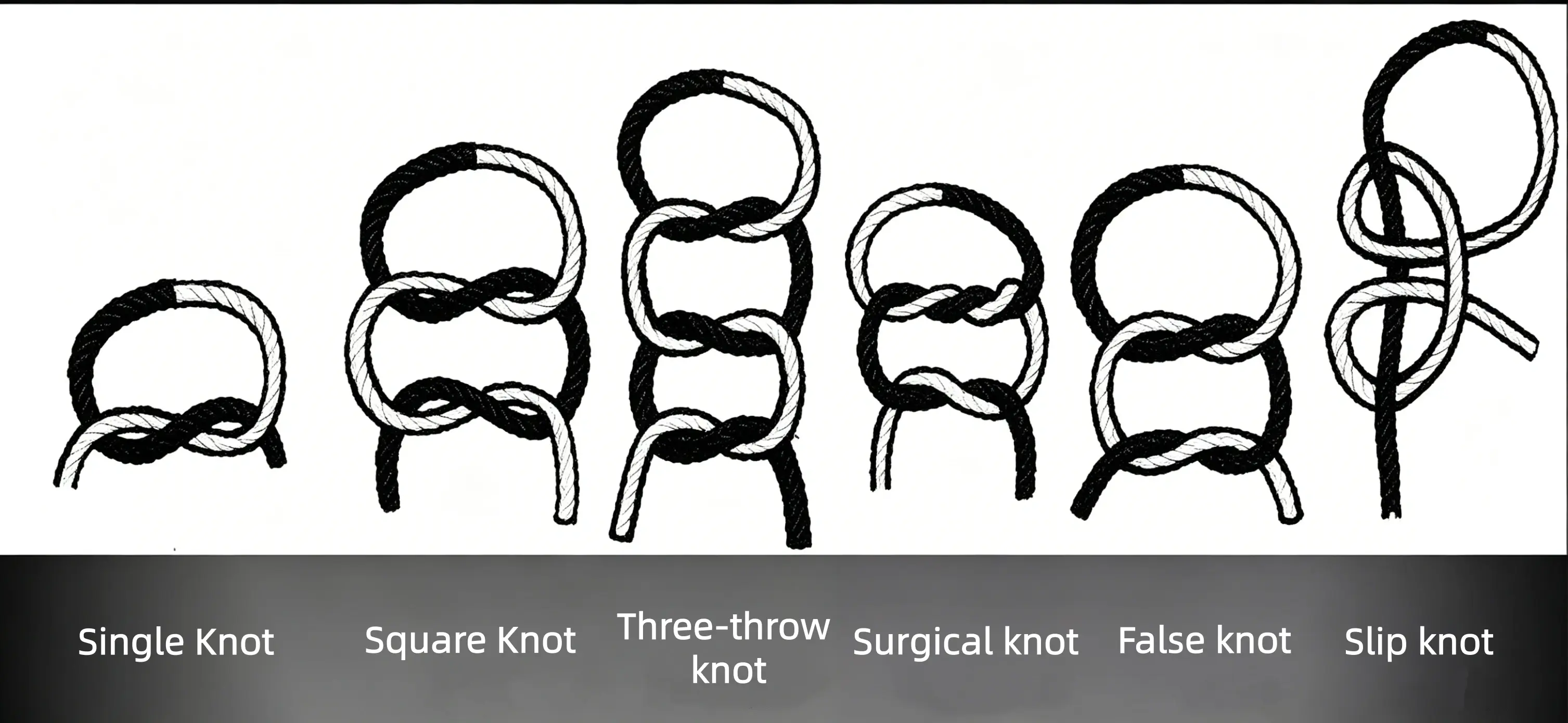 Knot classification.webp