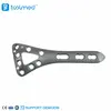 Distal Dorsal Radial Delta Locking Plate