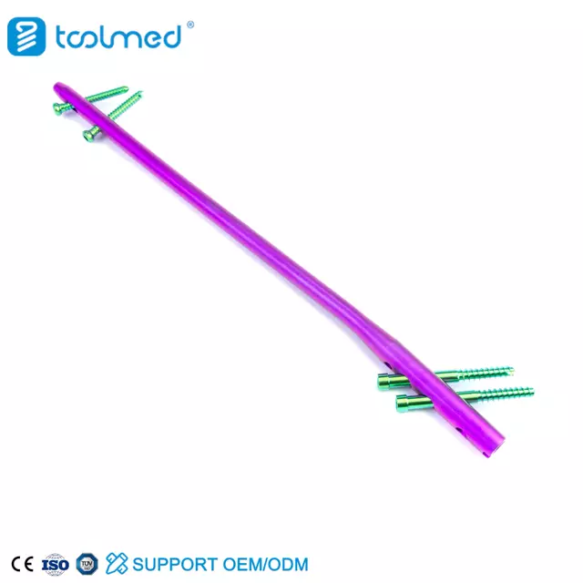 Expert Femoral Nail-Purple