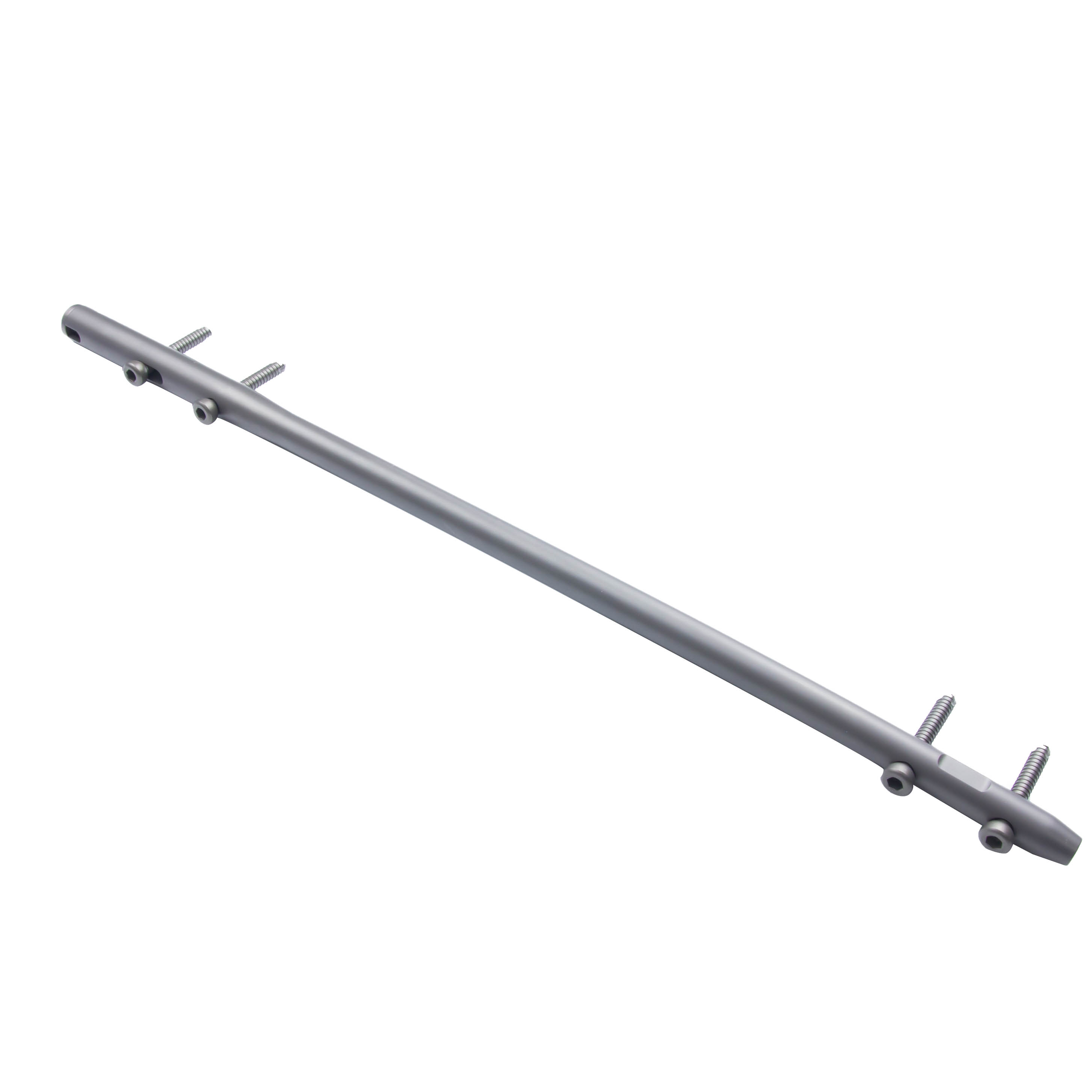 Femoral Intramedullary Nail