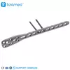 Proximal Humeral Locking Plate