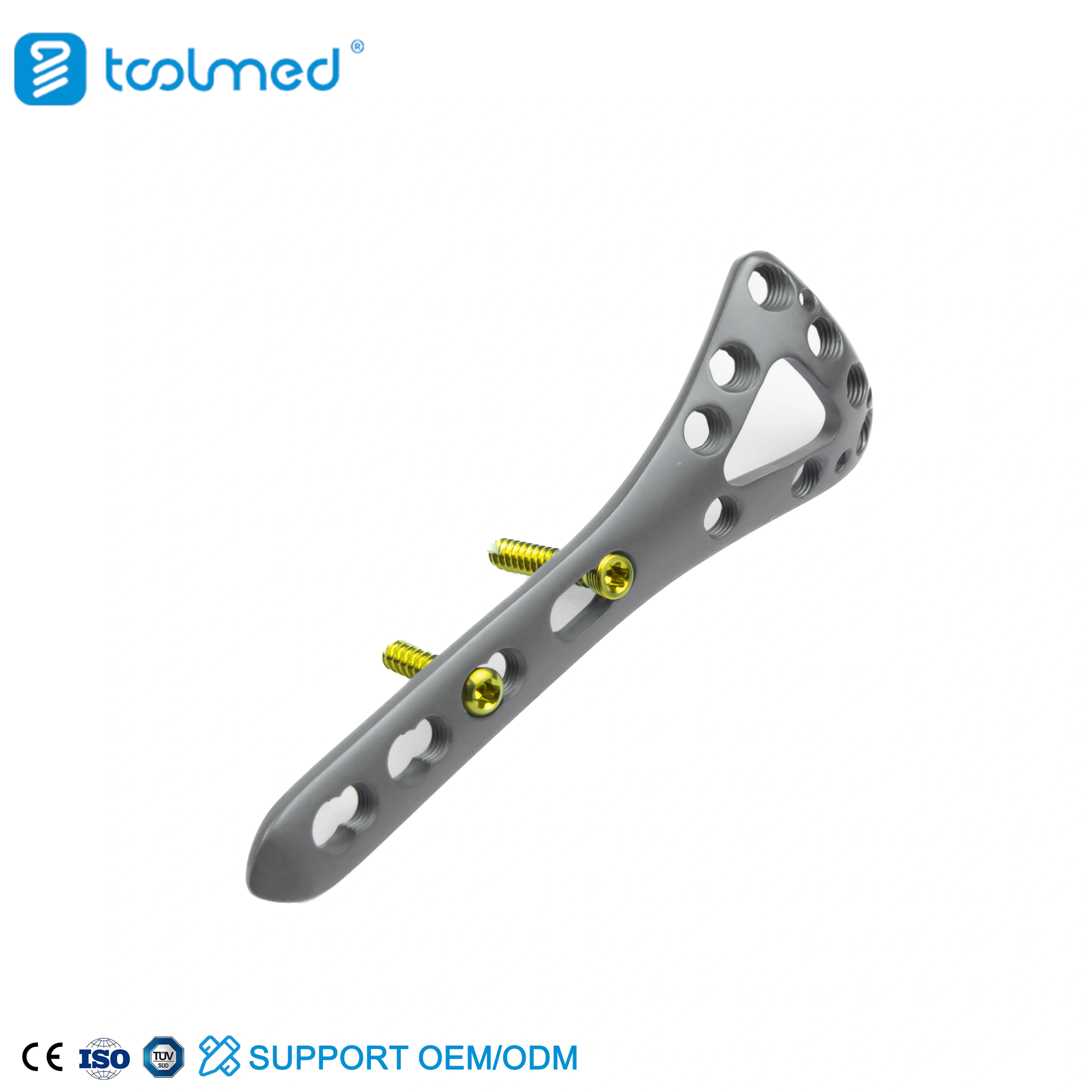 Distal Dorsal Radial Delta Locking Plate
