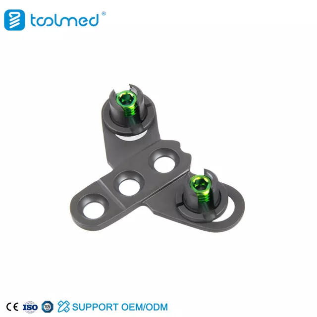 Occipital Plate-I