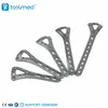 Distal Dorsal Radial Delta Locking Plate