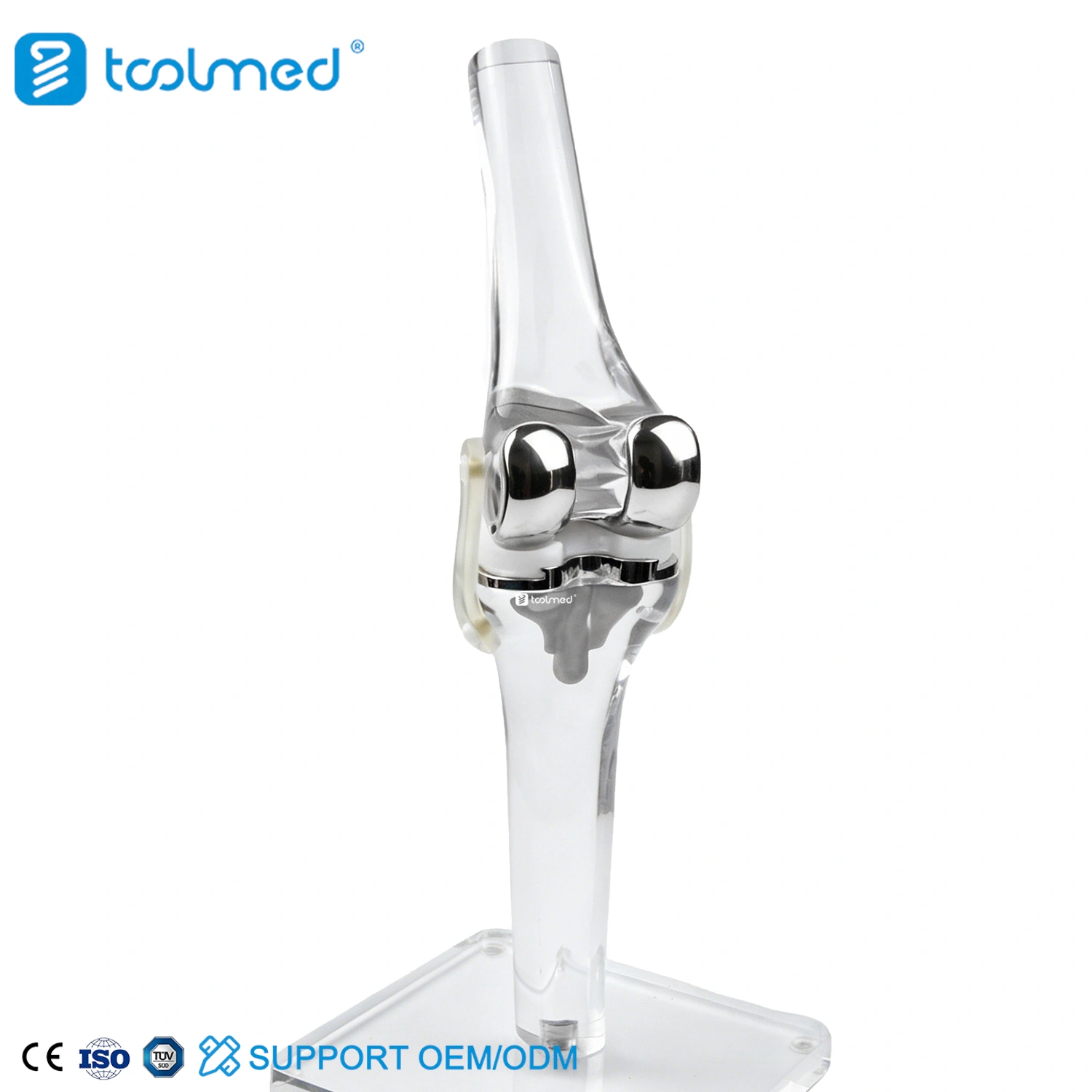 PS Femoral Insert